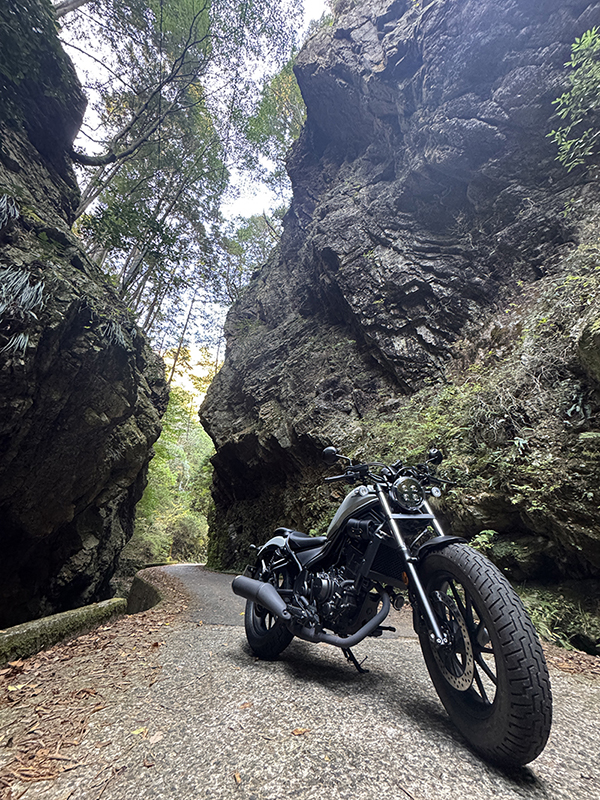 空ふさがりで撮影した REBLE250 空ふさがりで撮影した REBLE250