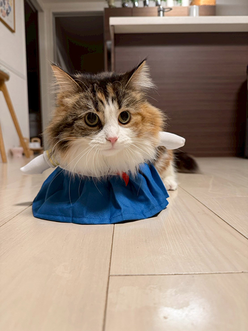 月に変わっておしおきよ。